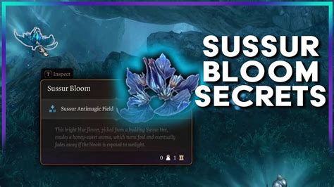 Sussur Bloom Secrets Baldur S Gate Youtube