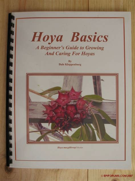 Hoya Book Hoya Basics A Beginner S Guide To Growing And Flickr