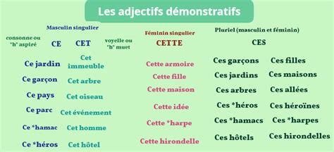 Ladjectif Démonstratif Une Tasse De Fle