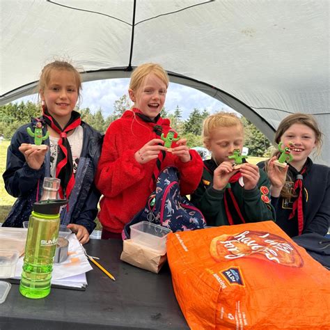 Cubs Grayshott Scouts