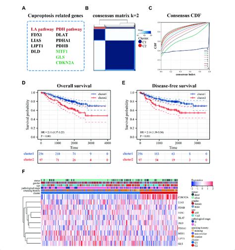 Identification Of Cuproptosis Related Patterns A Cuproptosis Related