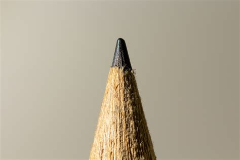 Pencil Macro Photography Behance