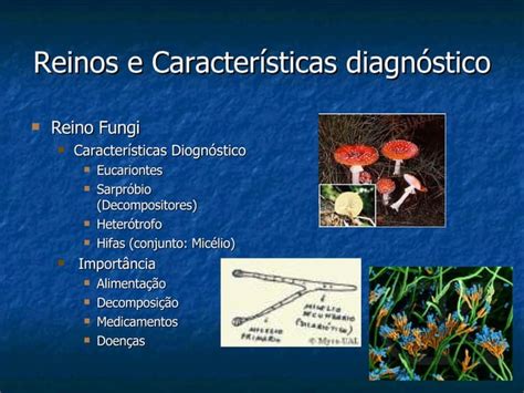 Taxonomia E Reinos Ppt