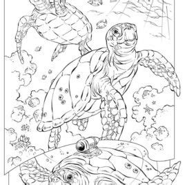 Underwater Coloring Pages For Adults At GetColorings Free