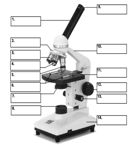 Microscope Parts And Functions Diagram Quizlet