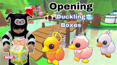 Opening Duckling Boxes In Adopt Me YouTube