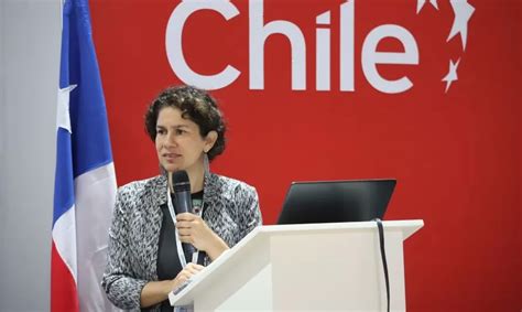 Chile Se Compromete A Reforzar Medidas Para Combatir El Cambio Climático En Cop27 Diario