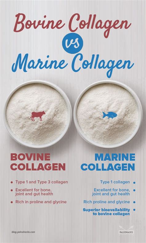 Marine Collagen vs. Bovine Collagen | Collagen benefits, Collagen ...