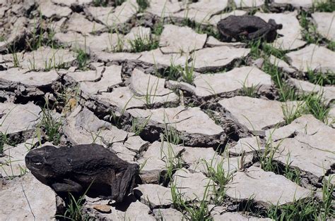 La sequía crítica de Centroamérica y Haití pide adaptación EFEverde