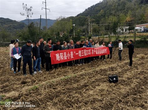 略阳县农技中心召开秋播生产技术培训现场会油菜小麦服务