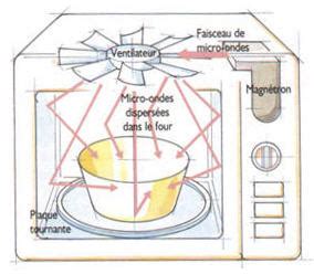 Connaissez Vous Vraiment Votre Four Micro Ondes Je Pense Donc Je