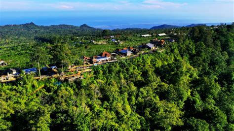 fiji city stock  pictures royalty  images istock