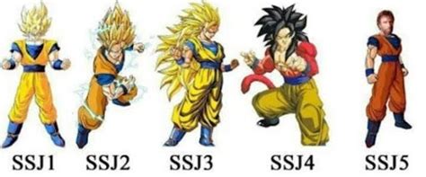 Evolución super saiyan Saiyan Evolution Goku Evolucion