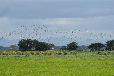 Baliuag, Philippines: All You Must Know Before You Go (2024) - Tripadvisor