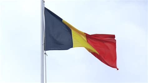 Belgian Flag Stock Video Footage For Free Download