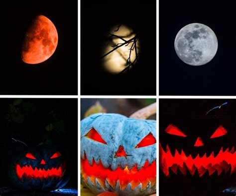 Premium Photo | Halloween glowing pumpkins collage holiday background ...