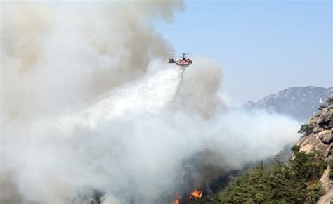 South Korean President Orders All Out Efforts Against Spring Wildfires