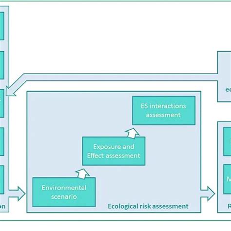 Conceptual Framework For The Environmental Risk Assessment Of Chemicals Download Scientific