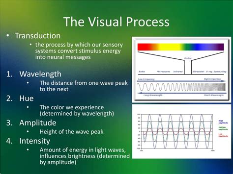 visual process powerpoint    id