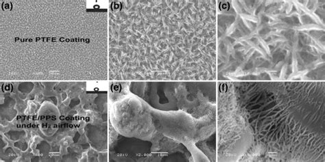 Sem Micrographs Of Surface Microstructures Of The Pure Ptfe And Download Scientific Diagram