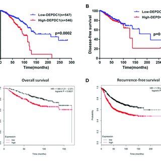 The Association Of DEPDC1with Advanced Stage Metastasis And