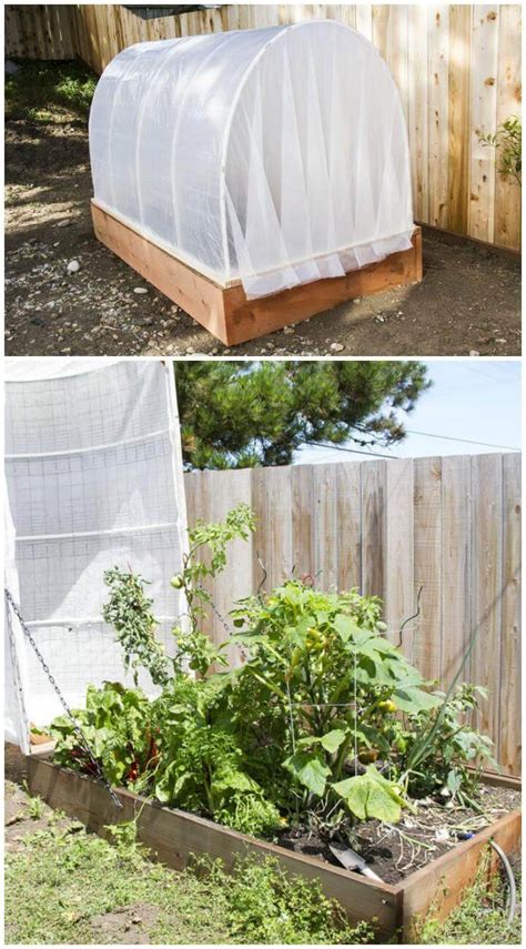 80 Diy Greenhouse Ideas With Step By Step Plans ⋆ Diy Crafts