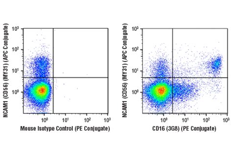 Human Natural Killer Cell Markers Flow Cytometry Panel | Cell Signaling ...