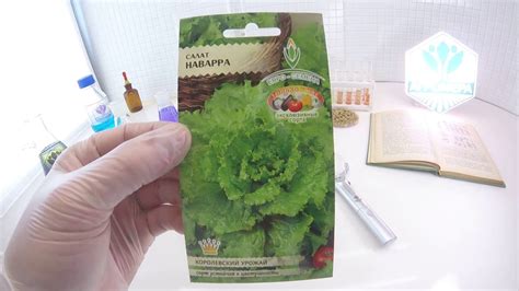 Салат Наварра. Евро-Семена - YouTube