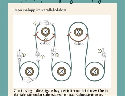 Koordination Und Timing Der Hilfengebung Im Schulterherein