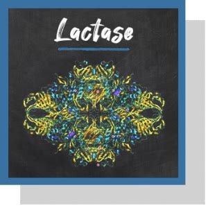 Lactase caractéristiques et rôles biologiques Nutrixeal Info