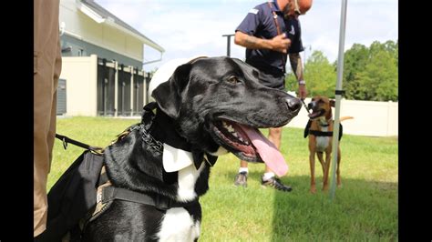 PHOTOS: 'K9s for Warriors' groundbreaking | firstcoastnews.com