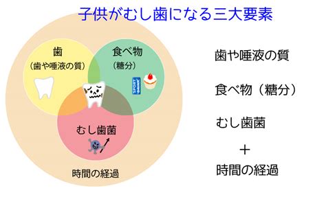 子どものむし歯予防と食習慣の密接な関係｜歯科の豆知識｜京都市中京区の歯科｜たけち歯科クリニック