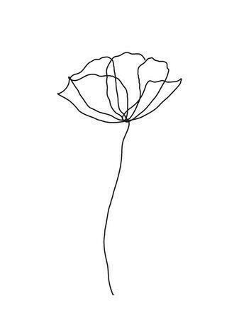 Line Art Flowers Line Flower Flower Art Flower Images Poppy Flower