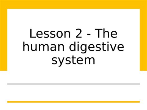 Aqa Gcse Biology 9 1 B3 2 The Human Digestive System Full Lesson Teaching Resources