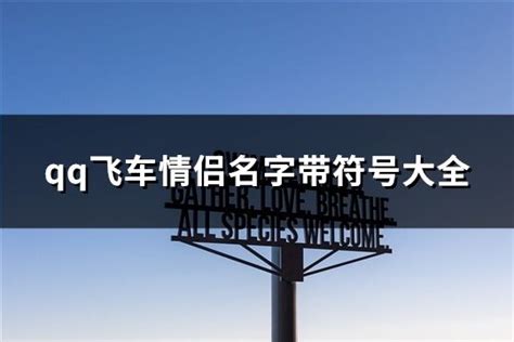 Qq飞车情侣名字带符号大全167个 淘名吧网