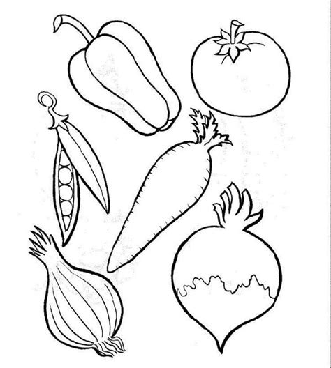 Fruit And Vegetables Drawing at GetDrawings | Free download