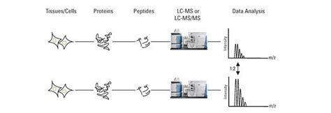 Label Free定量蛋白质组学技术分析原理及应用解决方案 百迈客生物