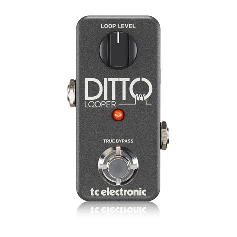 TC Electronic DITTO LOOPER 株式会社エレクトリ