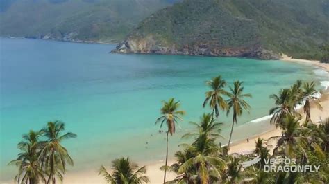 Playa Grande Choron Venezuela Youtube