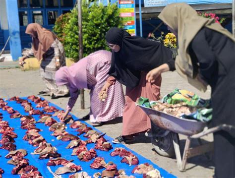 Min Aceh Besar Sembelih Ekor Sapi Qurban Pada Idul Adha H