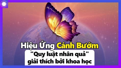 Hiệu ứng cánh bướm là gì