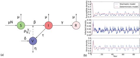 Stochastic SIR V Model A Schematic Diagram Of The Baseline SIR