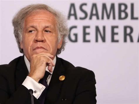 Luis Almagro Fue Ratificado Como Secretario General De La OEA Mejor