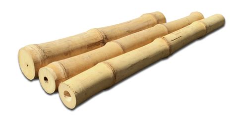 Bamboo Poles Solid Tam Vong Bamboo Pole Bamboo Creasian