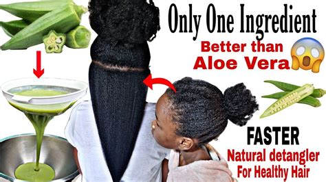 Only One Ingredientbetter Than Aloe Vera How I Use Grew My Hair