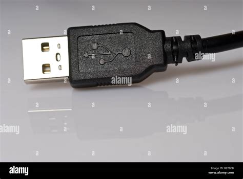 stock photo   close  image   standard usb connector