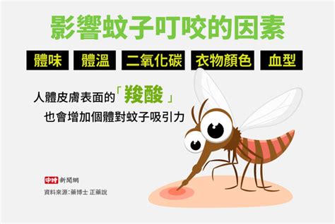 愛吃肉容易被蚊子咬？研究曝「它」才是關鍵 健康 中時新聞網