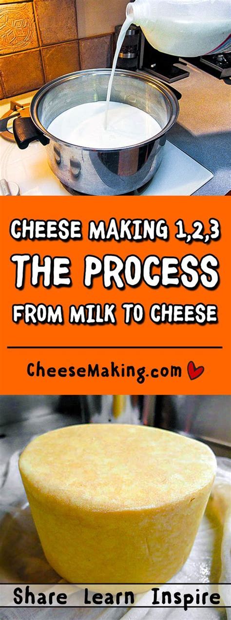 great beginners guide  cheese making youll learn