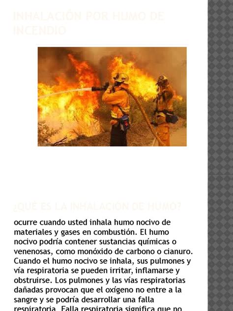 PDF Inhalación Por Humo de Incendio DOKUMEN TIPS