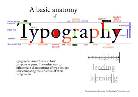 A Basic Anatomy Of Typography A Basic Anatomy Of Aperture Teardrop